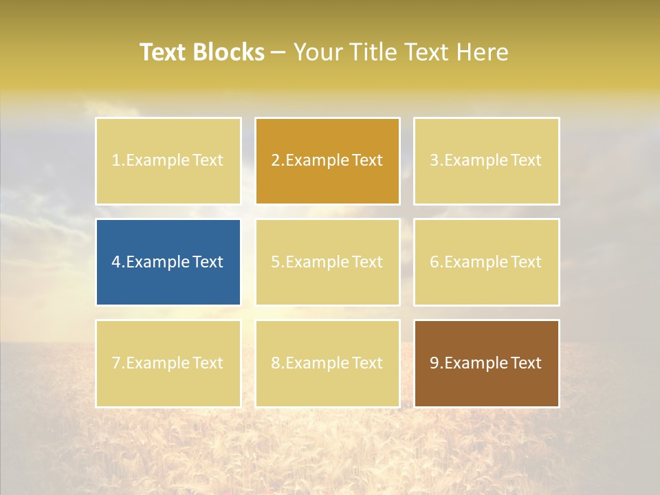 Summer Fiel Field PowerPoint Template