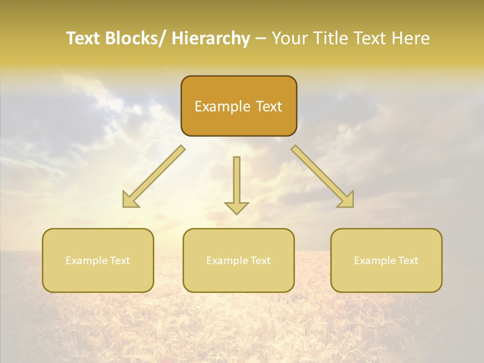 Summer Fiel Field PowerPoint Template