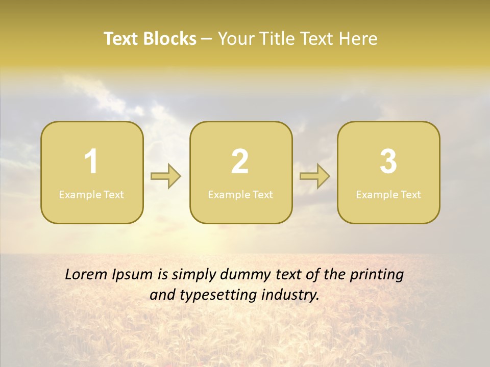 Summer Fiel Field PowerPoint Template