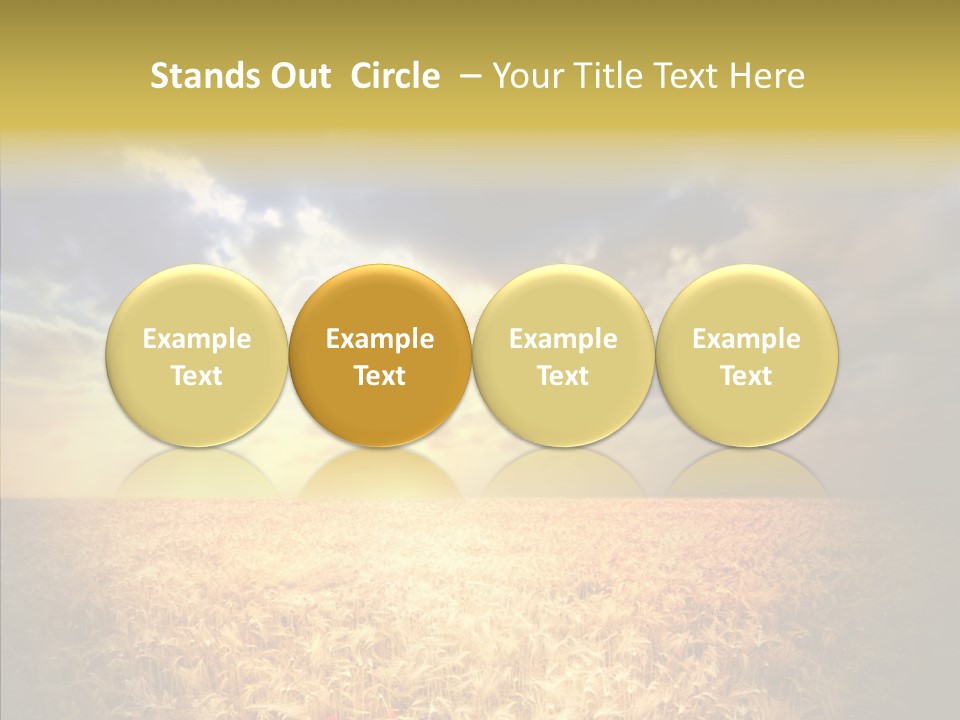 Summer Fiel Field PowerPoint Template