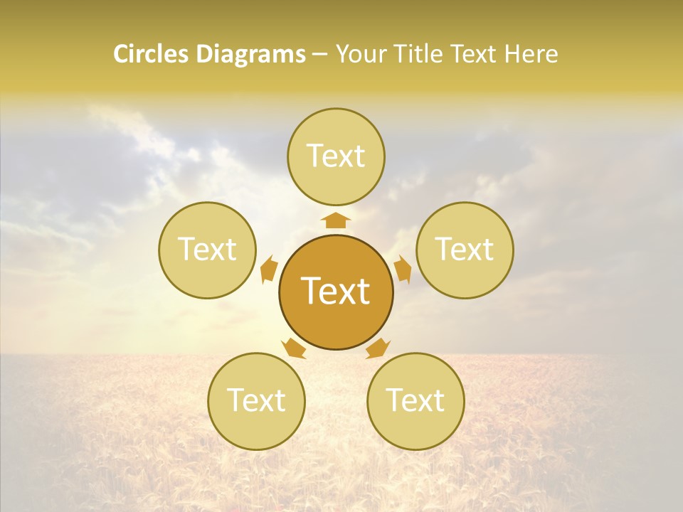 Summer Fiel Field PowerPoint Template