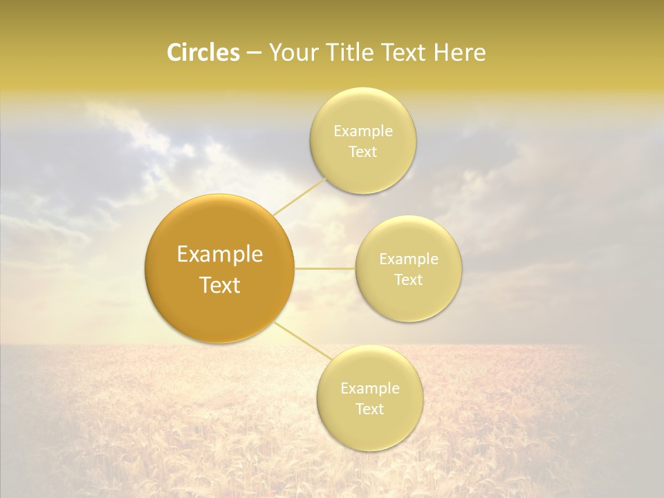 Summer Fiel Field PowerPoint Template