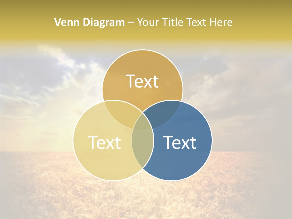 Summer Fiel Field PowerPoint Template