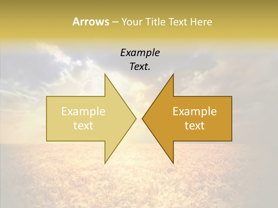 Summer Fiel Field PowerPoint Template