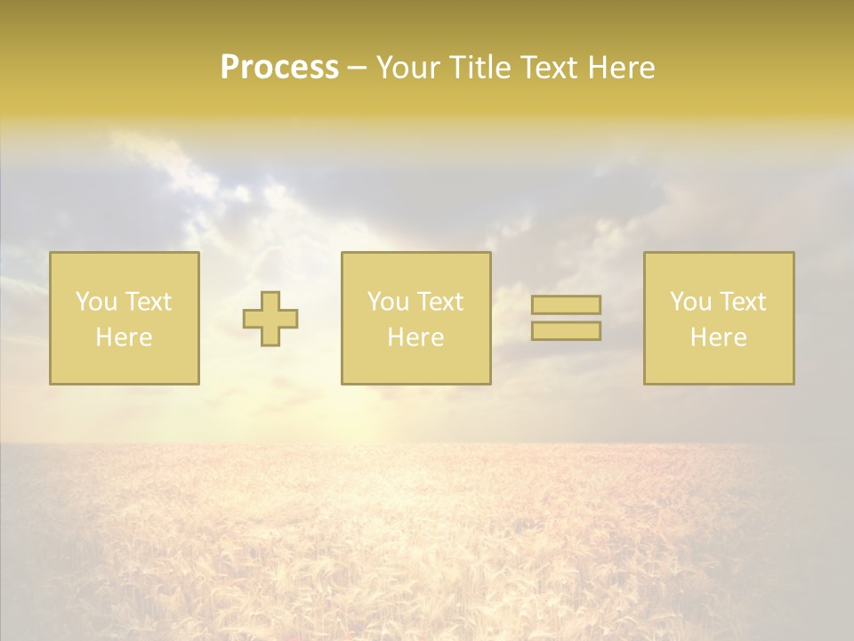 Summer Fiel Field PowerPoint Template