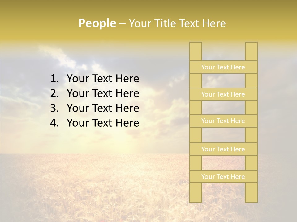 Summer Fiel Field PowerPoint Template