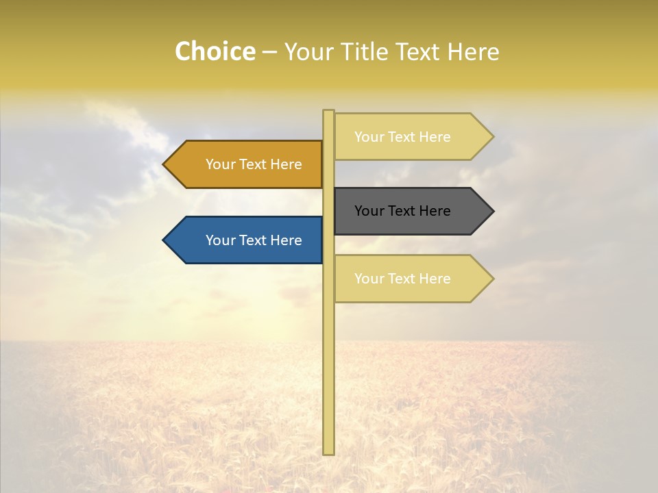 Summer Fiel Field PowerPoint Template