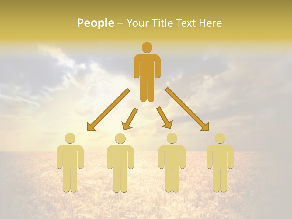 Summer Fiel Field PowerPoint Template