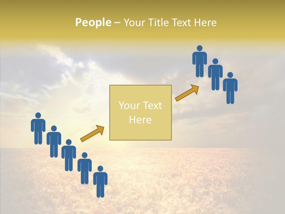 Summer Fiel Field PowerPoint Template