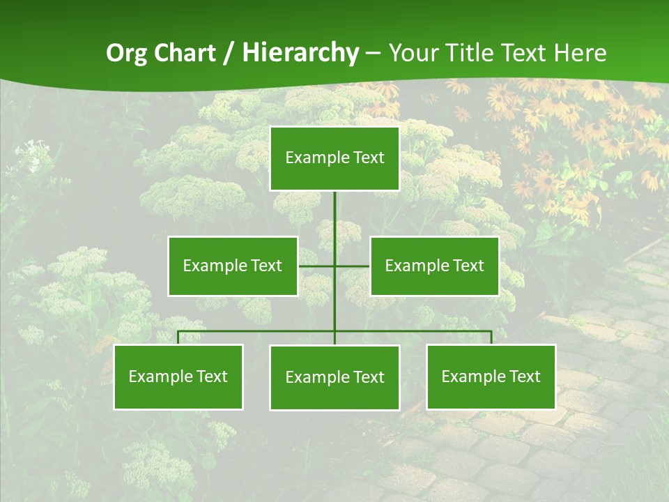 Luxury Flowerbed Lush PowerPoint Template