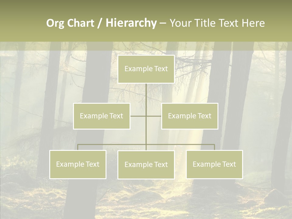 Beams Trunks Life PowerPoint Template