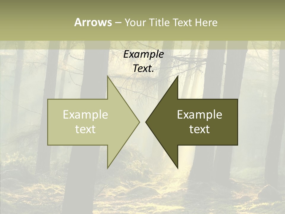 Beams Trunks Life PowerPoint Template