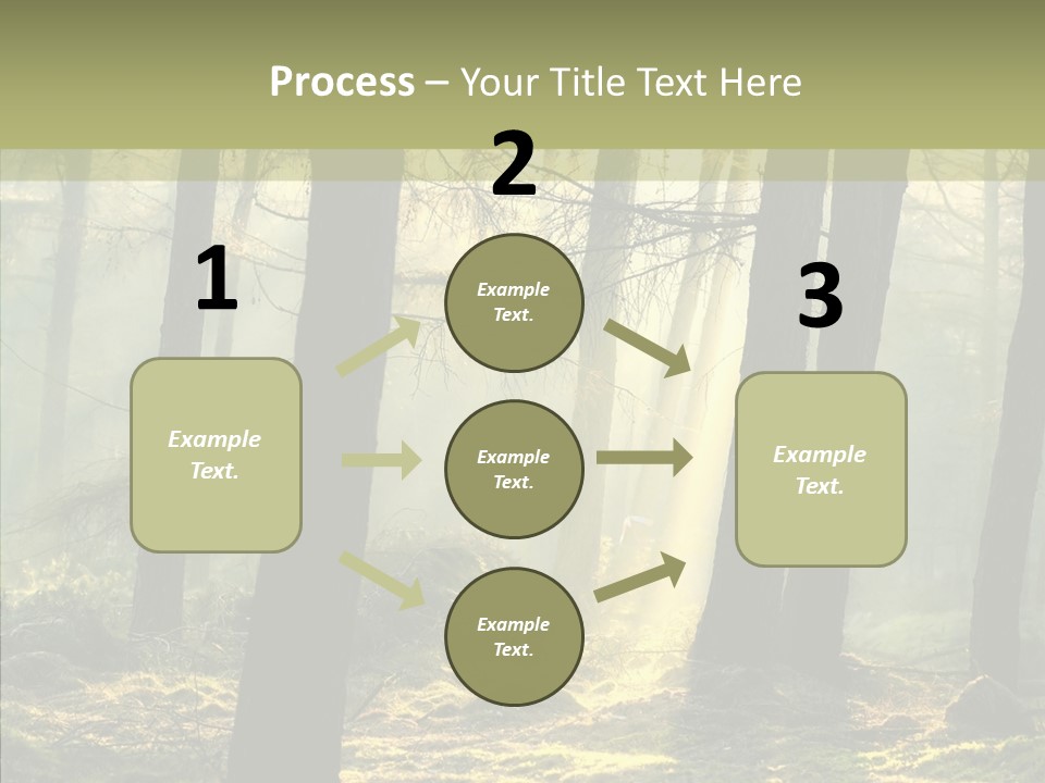 Beams Trunks Life PowerPoint Template
