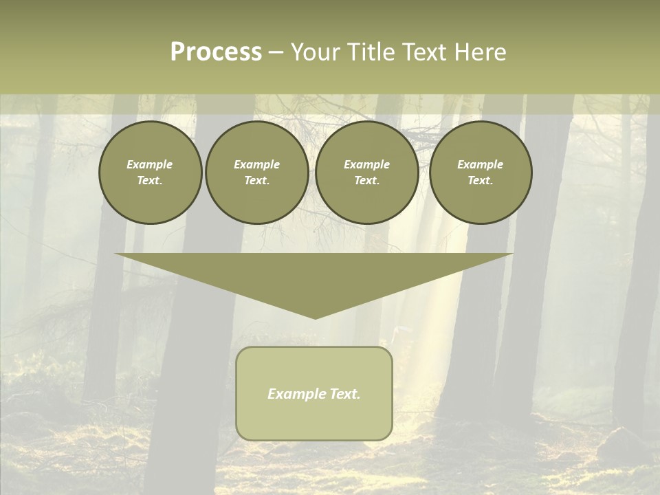 Beams Trunks Life PowerPoint Template