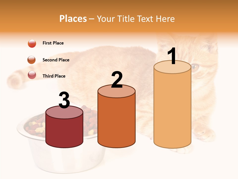 Management Li Ten Figure PowerPoint Template