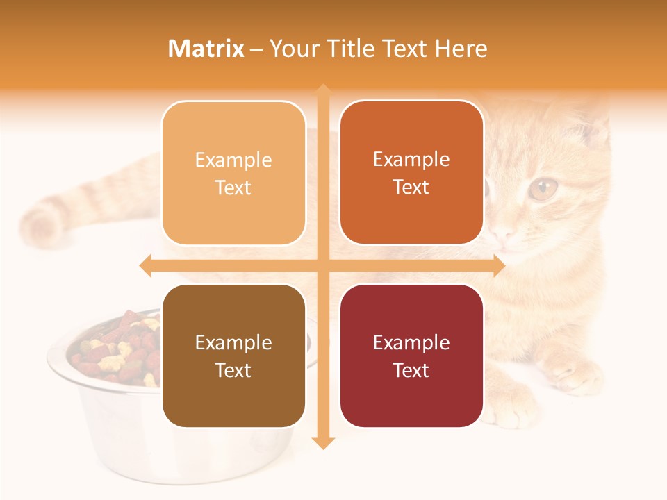 Management Li Ten Figure PowerPoint Template