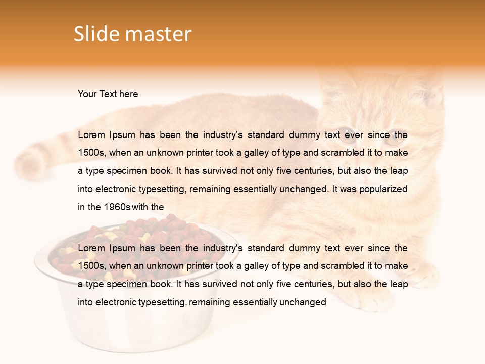 Management Li Ten Figure PowerPoint Template