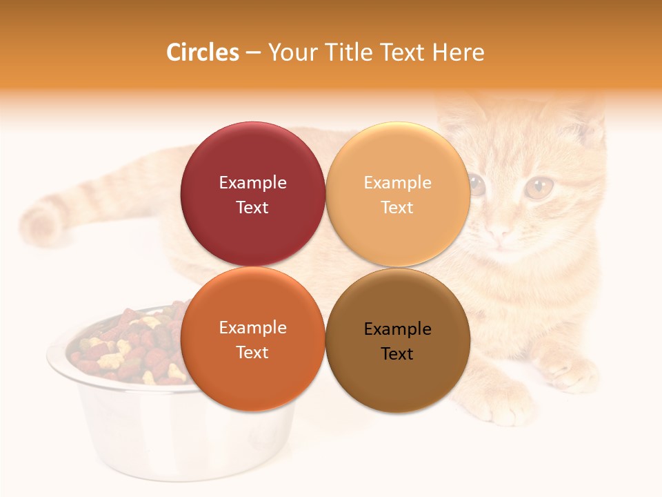 Management Li Ten Figure PowerPoint Template
