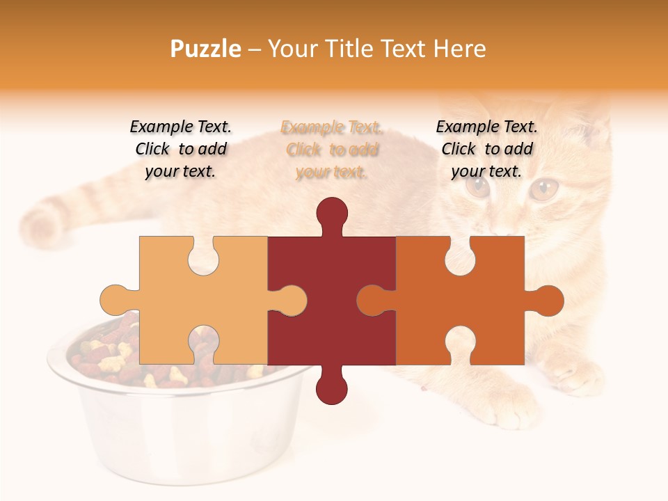 Management Li Ten Figure PowerPoint Template
