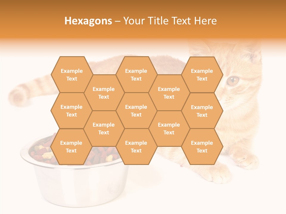 Management Li Ten Figure PowerPoint Template