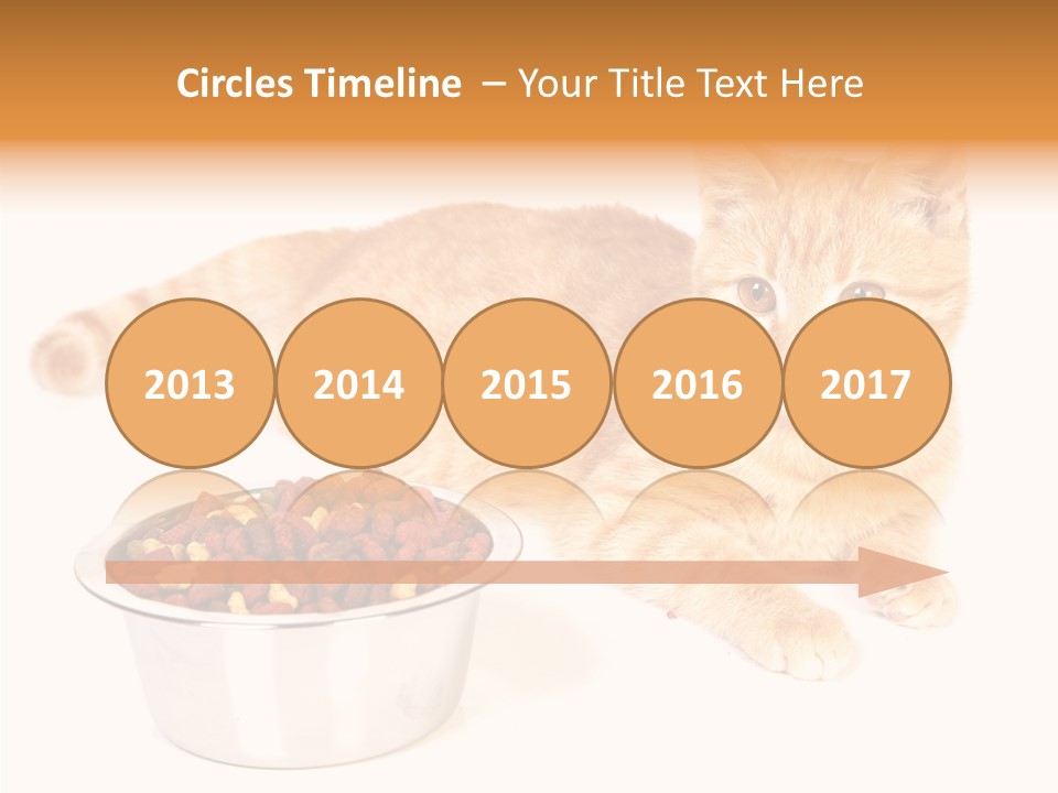 Management Li Ten Figure PowerPoint Template