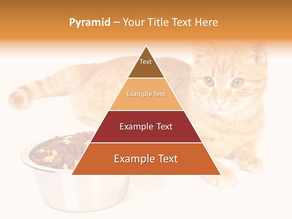 Management Li Ten Figure PowerPoint Template