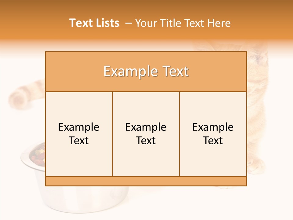 Management Li Ten Figure PowerPoint Template