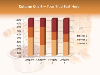 Management Li Ten Figure PowerPoint Template