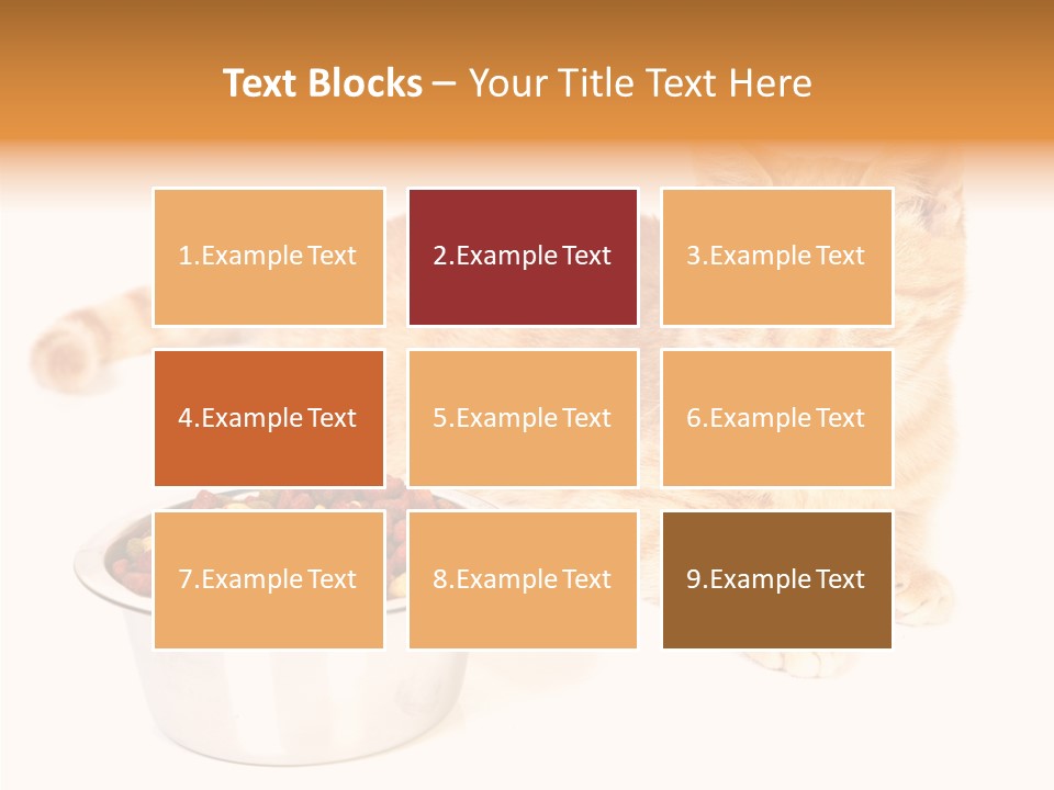 Management Li Ten Figure PowerPoint Template
