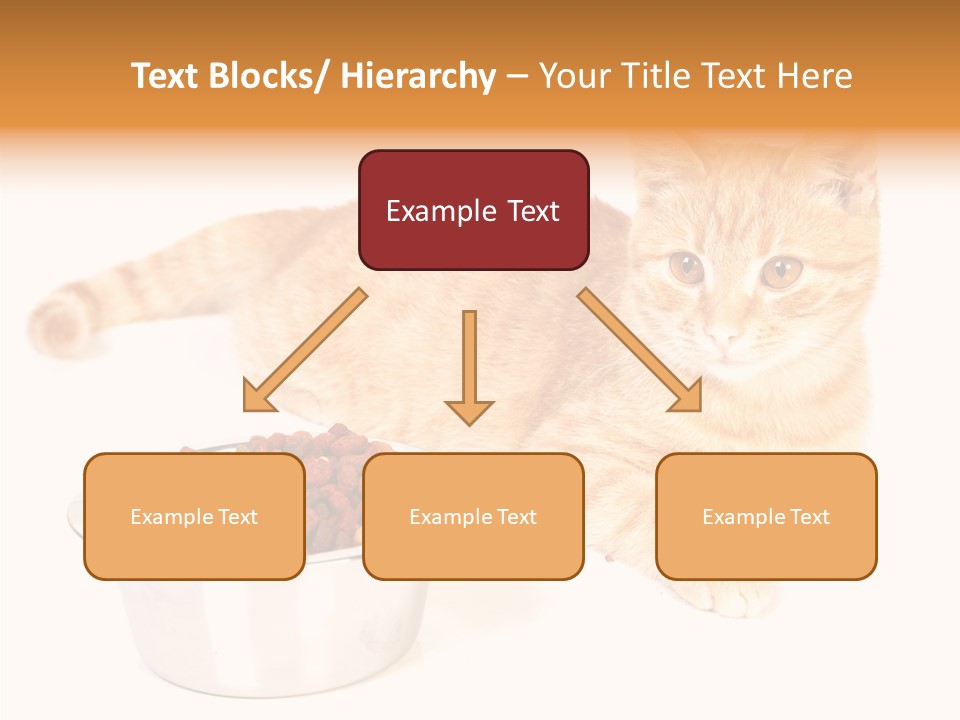 Management Li Ten Figure PowerPoint Template