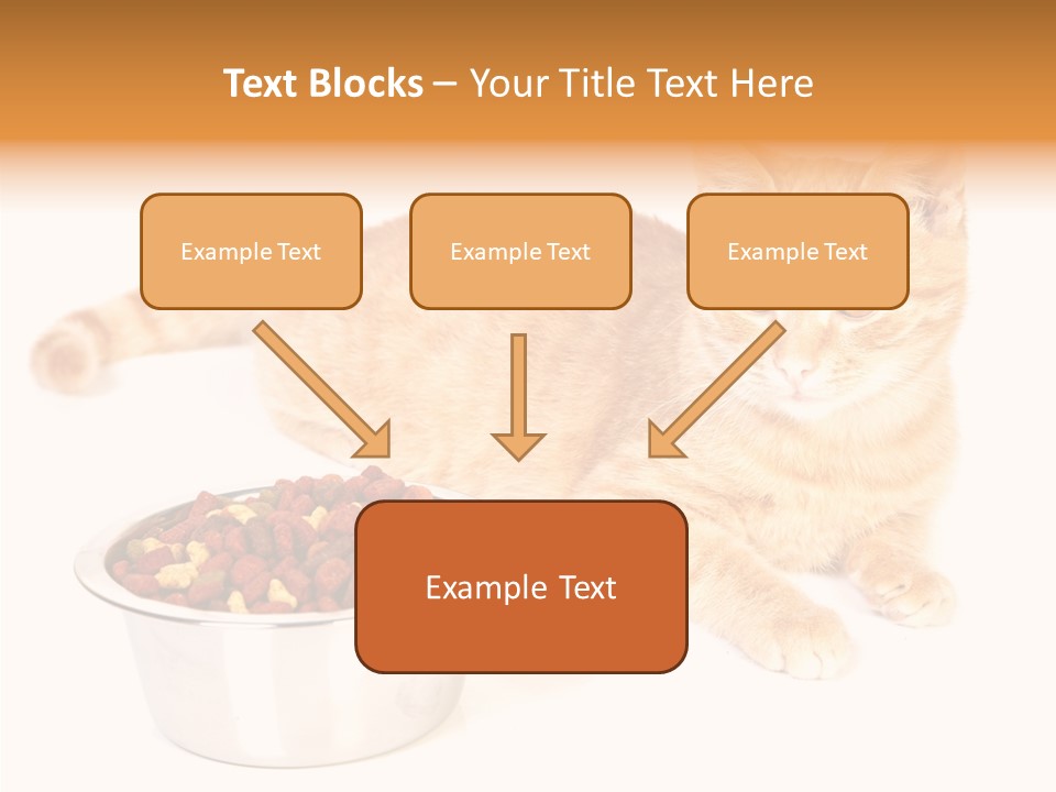 Management Li Ten Figure PowerPoint Template