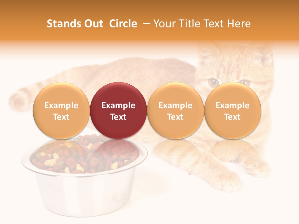 Management Li Ten Figure PowerPoint Template