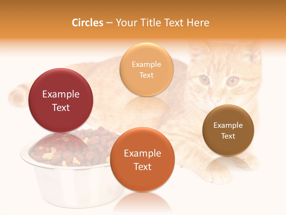 Management Li Ten Figure PowerPoint Template