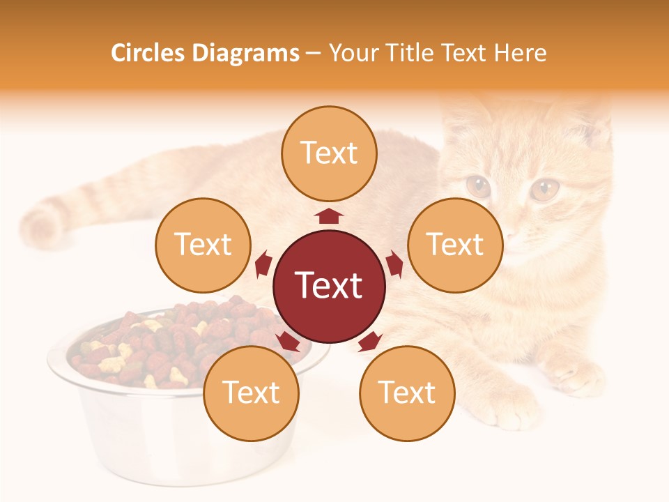 Management Li Ten Figure PowerPoint Template