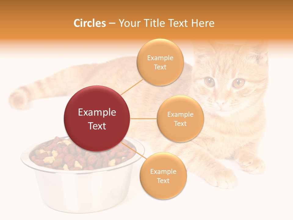 Management Li Ten Figure PowerPoint Template