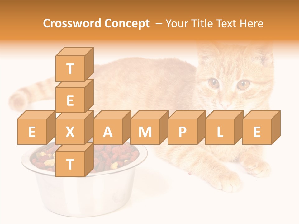 Management Li Ten Figure PowerPoint Template