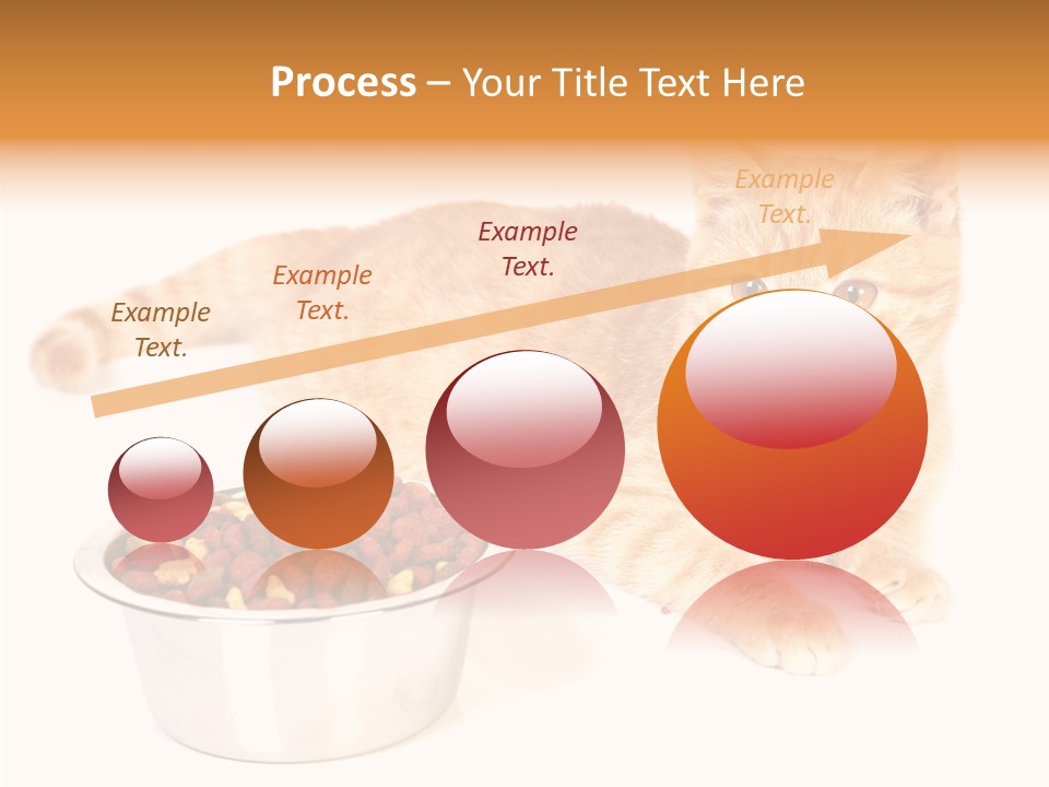 Management Li Ten Figure PowerPoint Template