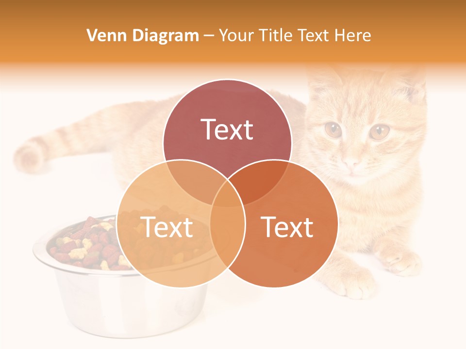 Management Li Ten Figure PowerPoint Template