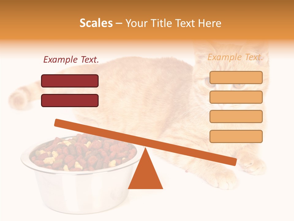 Management Li Ten Figure PowerPoint Template