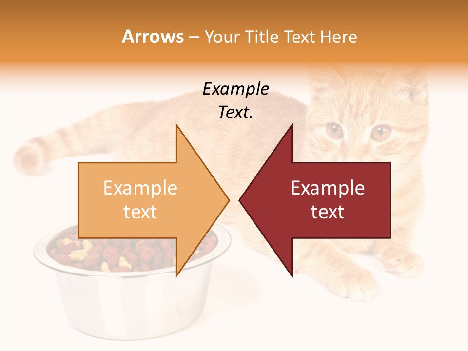 Management Li Ten Figure PowerPoint Template