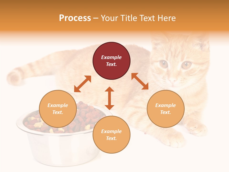 Management Li Ten Figure PowerPoint Template