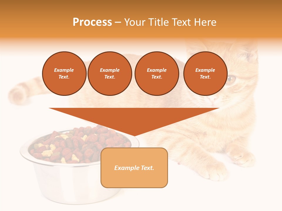 Management Li Ten Figure PowerPoint Template