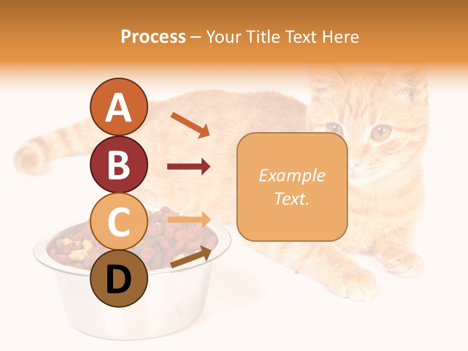 Management Li Ten Figure PowerPoint Template