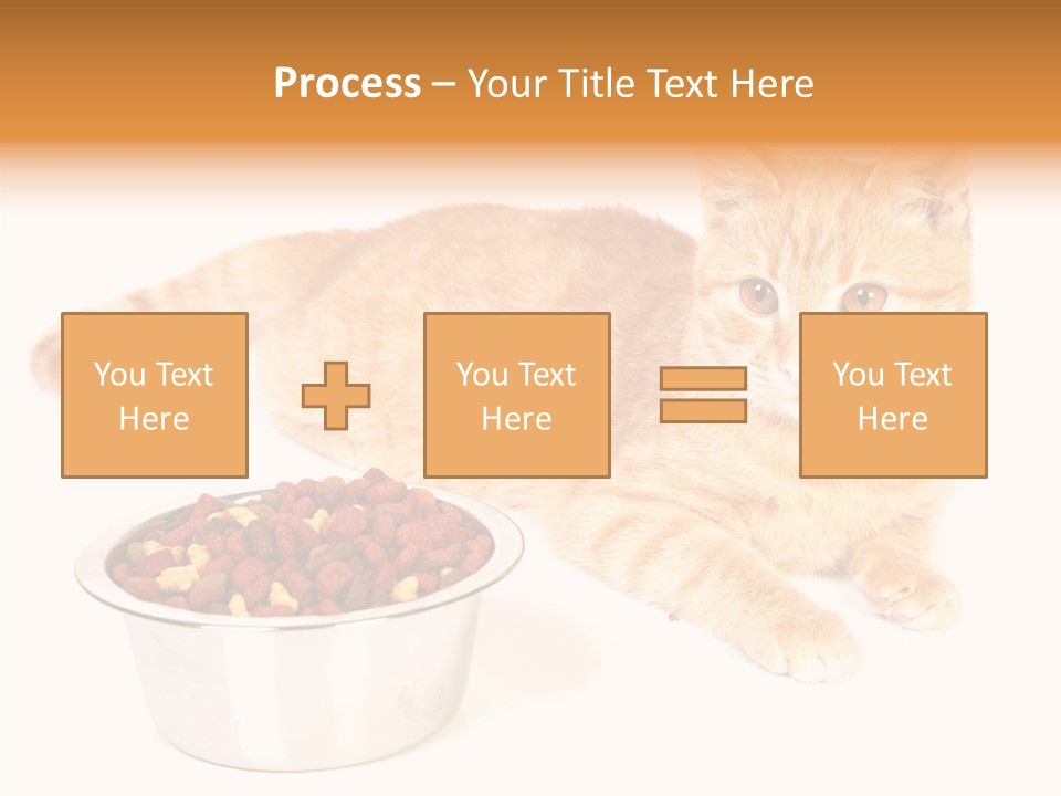 Management Li Ten Figure PowerPoint Template