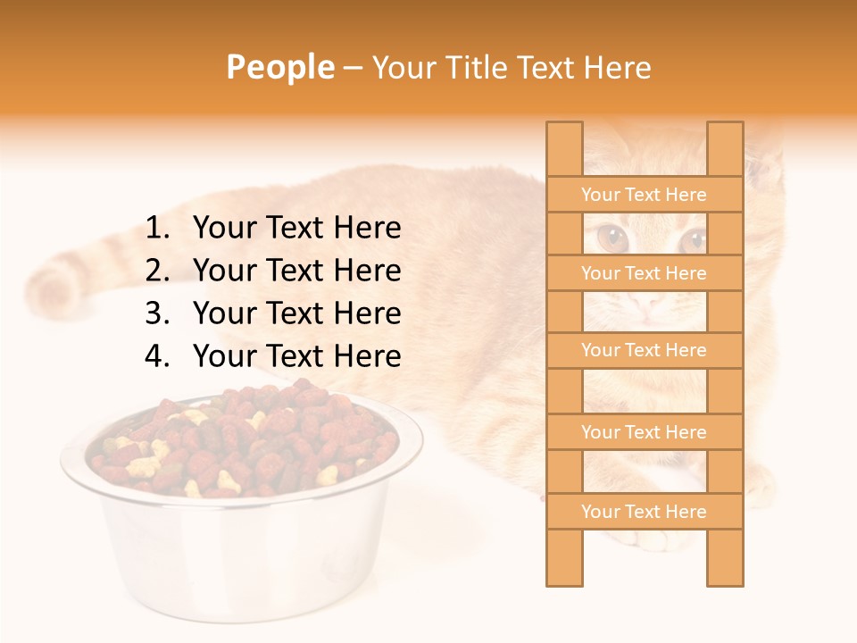 Management Li Ten Figure PowerPoint Template