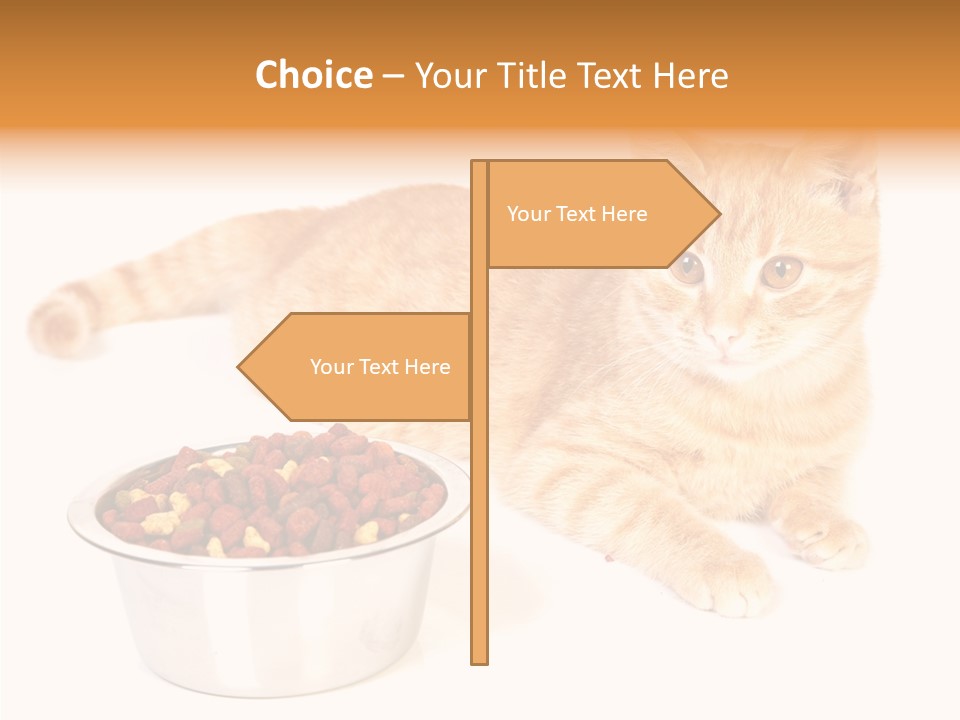 Management Li Ten Figure PowerPoint Template