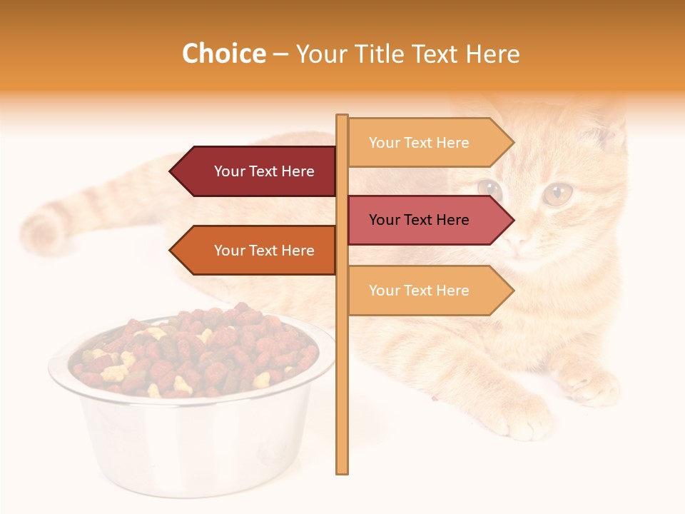 Management Li Ten Figure PowerPoint Template