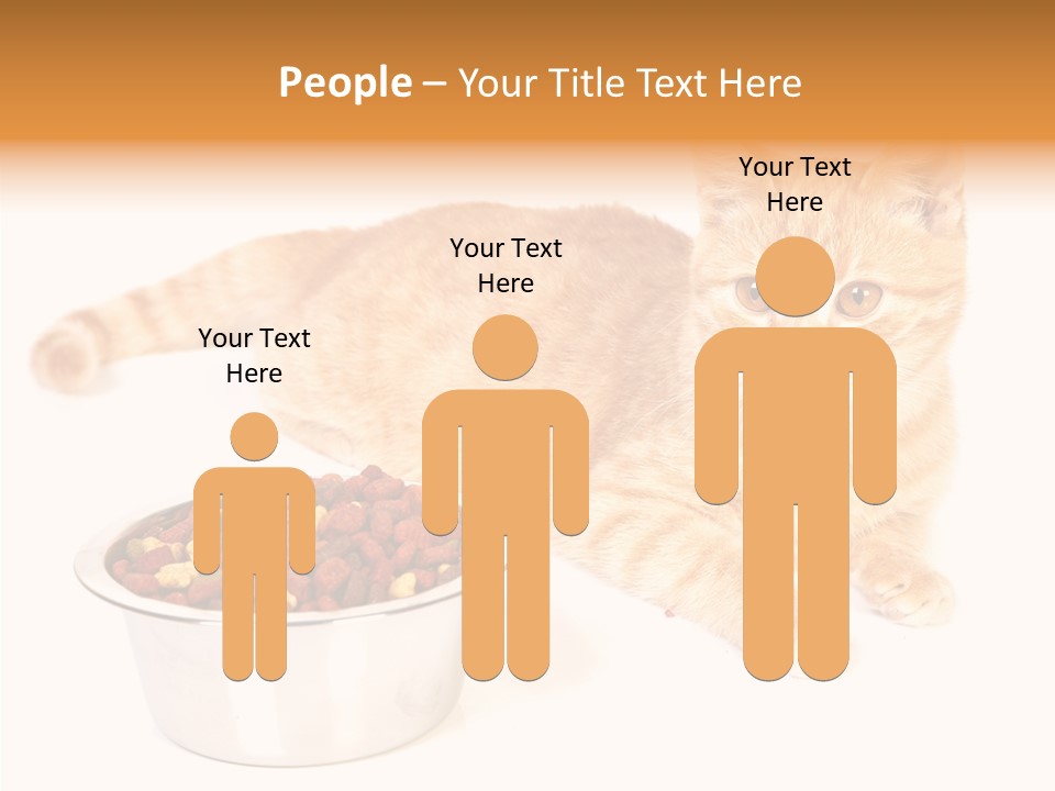 Management Li Ten Figure PowerPoint Template