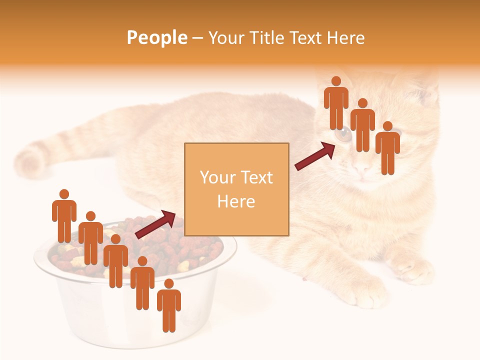 Management Li Ten Figure PowerPoint Template