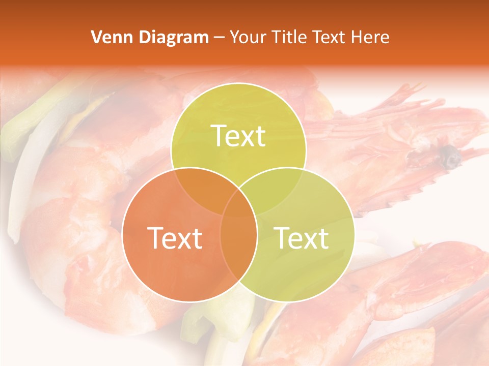 Kitchen Studio Sea PowerPoint Template